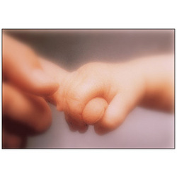 Parenting Effectiveness Program